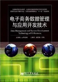 電子商務(wù)數(shù)據(jù)管理與應(yīng)用開(kāi)發(fā)技術(shù)探析